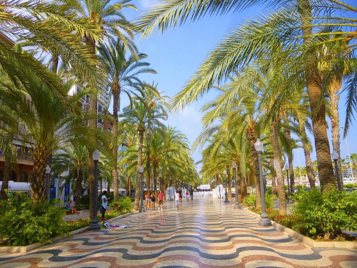 S&H La Malasana San Vicente Raspeig Εξωτερικό φωτογραφία